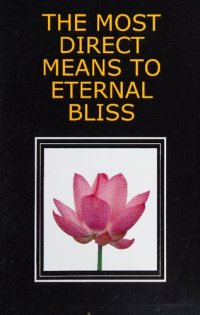 cover of the book THE MOST DIRECT MEANS TO ETERNAL BLISS ( The Most Rapid and Direct Means to Eternal Bliss , The Imposter)