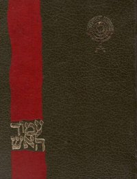 cover of the book עמוד האש - פרקים בתולדות הציונות