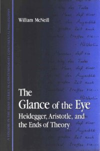 cover of the book The Glance of the Eye: Heidegger, Aristotle, and the Ends of Theory