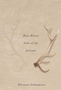 cover of the book Dust Blown Side of the Journey