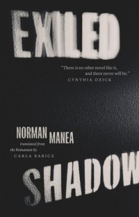 cover of the book Exiled Shadow