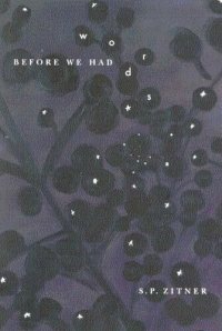 cover of the book Before We Had Words