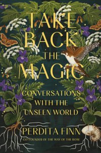 cover of the book Take Back the Magic: Conversations with the Unseen World