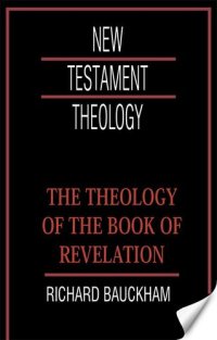 cover of the book The Theology Of The Book Of Revelation