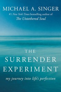 cover of the book The Surrender Experiment: My Journey into Life's Perfection