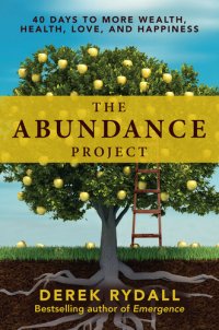 cover of the book The Abundance Project: 40 Days to More Wealth, Health, Love, and Happiness