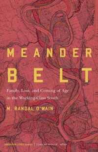 cover of the book Meander belt : family, loss, and coming of age in the working-class South