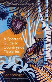 cover of the book A spotter's guide to countryside mysteries : from piddocks and lynchets to witch's broom