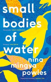 cover of the book Small Bodies of Water