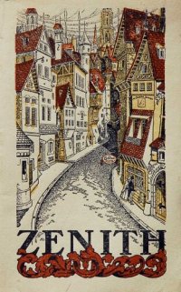 cover of the book Die Taschenuhren Zenith