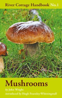 cover of the book Mushrooms: River Cottage Handbook No.1