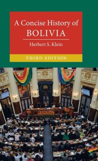 cover of the book A Concise History of Bolivia