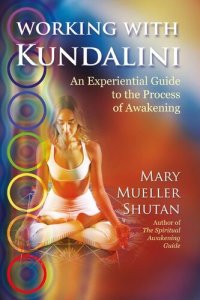 cover of the book Working with Kundalini