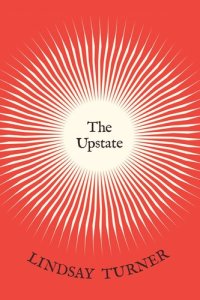 cover of the book The Upstate