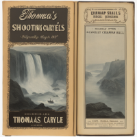 cover of the book Shooting Niagara: AND AFTER?