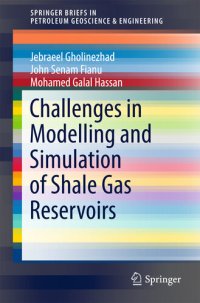 cover of the book Challenges in Modelling and Simulation of Shale Gas Reservoirs (SpringerBriefs in Petroleum Geoscience & Engineering)