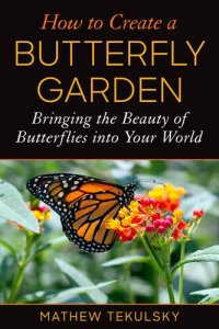 cover of the book How to Create a Butterfly Garden: Bringing the Beauty of Butterflies into Your World