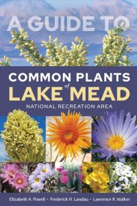 cover of the book A Guide to Common Plants of Lake Mead National Recreation Area