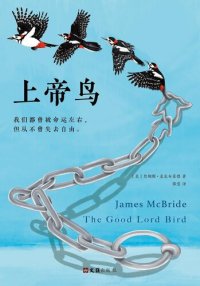 cover of the book 上帝鸟