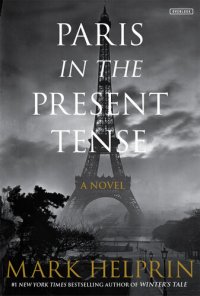 cover of the book Paris in the Present Tense: A Novel