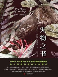 cover of the book 失物之书