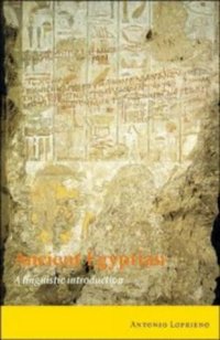 cover of the book Ancient Egyptian: A Linguistic Introduction