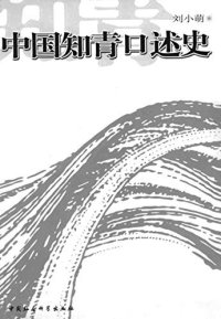 cover of the book 中国知青口述史