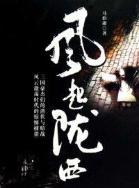 cover of the book 风起陇西