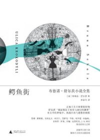 cover of the book 鳄鱼街: 布鲁诺·舒尔茨小说全集