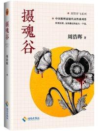 cover of the book 摄魂谷
