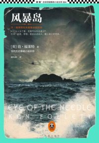 cover of the book 风暴岛: 肯·福莱特历史小说经典