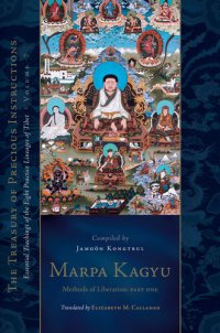 cover of the book Marpa Kagyu: Methods of Liberation, Part One: The Treasury of Precious Instructions: Essential Teachings of the Eight Practice Lineages of Tibet, Volume 7