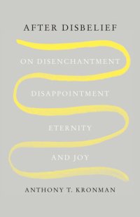 cover of the book After Disbelief: On Disenchantment, Disappointment, Eternity, and Joy