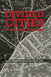 cover of the book Divided Cities