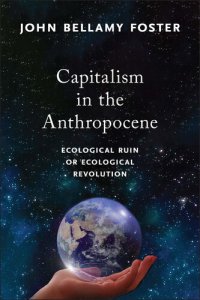 cover of the book Capitalism in the Anthropocene