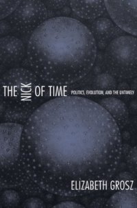 cover of the book The Nick of Time: Politics, Evolution, and the Untimely