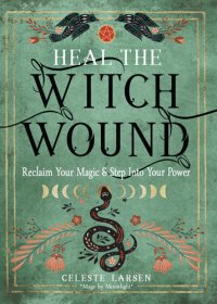 cover of the book Heal the Witch Wound