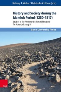 cover of the book History and Society during the Mamluk Period (1250–1517): Studies of the Annemarie Schimmel Institute for Advanced Study III