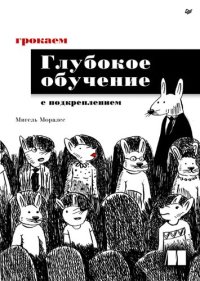 cover of the book Грокаем Глубокое обучение с подкреплением.