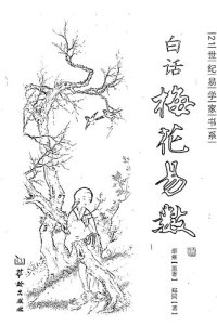 cover of the book 白话梅花易数