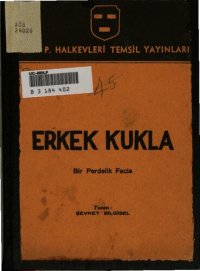 cover of the book Erkek kukla