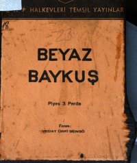 cover of the book Beyaz baykuş