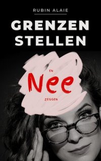 cover of the book Grenzen stellen