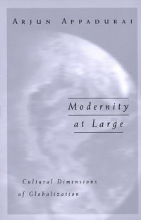 cover of the book Modernity at large: cultural dimensions of globalization