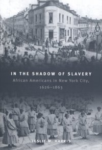 cover of the book In the shadow of slavery: African Americans in New York City, 1626-1863