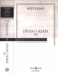 cover of the book Divan-ı Kebir VI