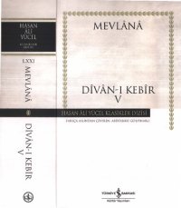 cover of the book Divan-ı Kebir V