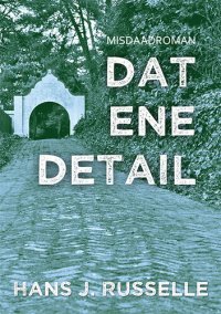 cover of the book Dat ene detail