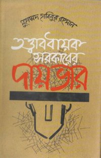 cover of the book তত্বাবদায়ক সরকারের দায়ভার