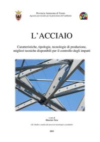 cover of the book L'Acciaio